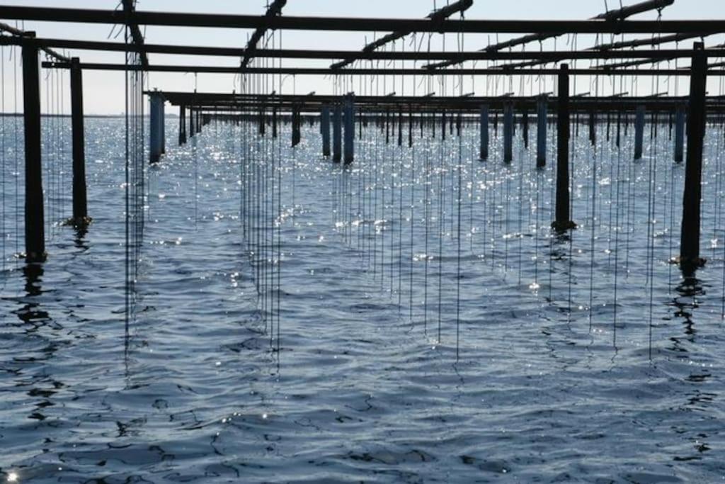 Grande Villa Neuve Avec Piscine Pres Mer Et Sete Balaruc-les-Bains Εξωτερικό φωτογραφία